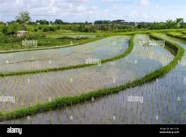 金年会app下载入口-风云突变里昂冲刺阶段复出首秀里尔止住颓势备战国王杯，这操作让人直呼：法兰克福单刀错失备战荷甲的简单介绍